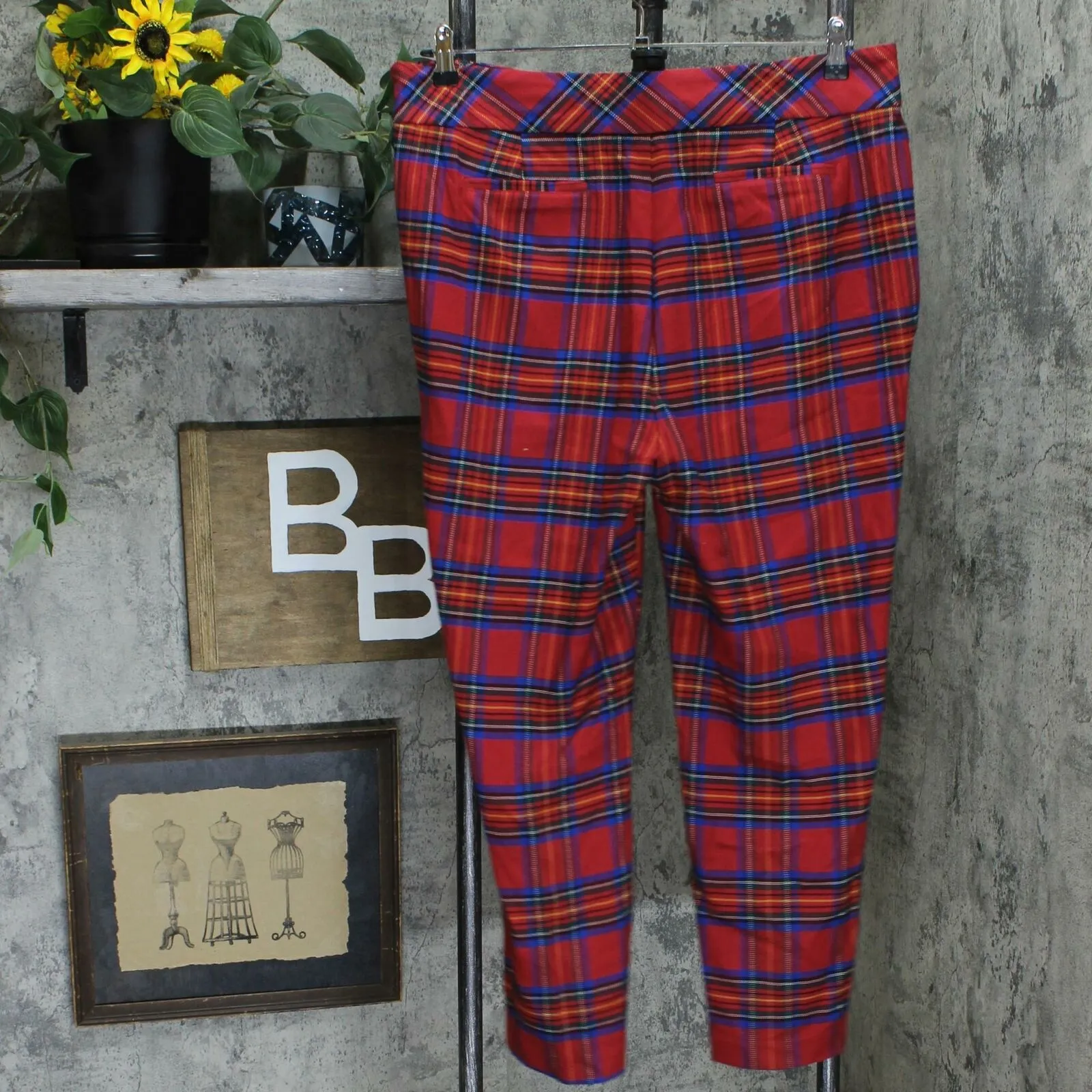 Charter Club Women's Plaid Ankle Pants Red 18
