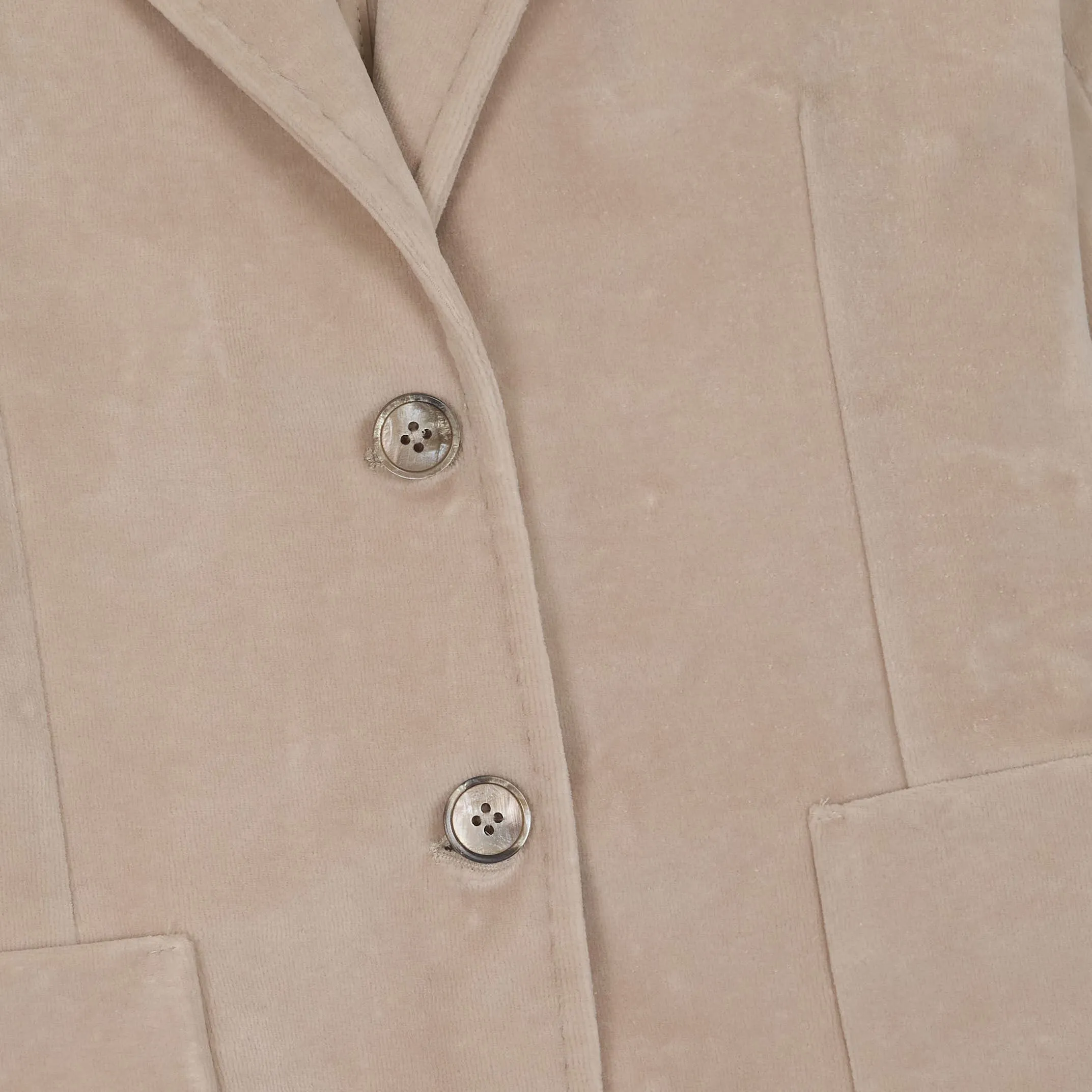 Circolo 1901 Ladies Velour Velvet Blazer