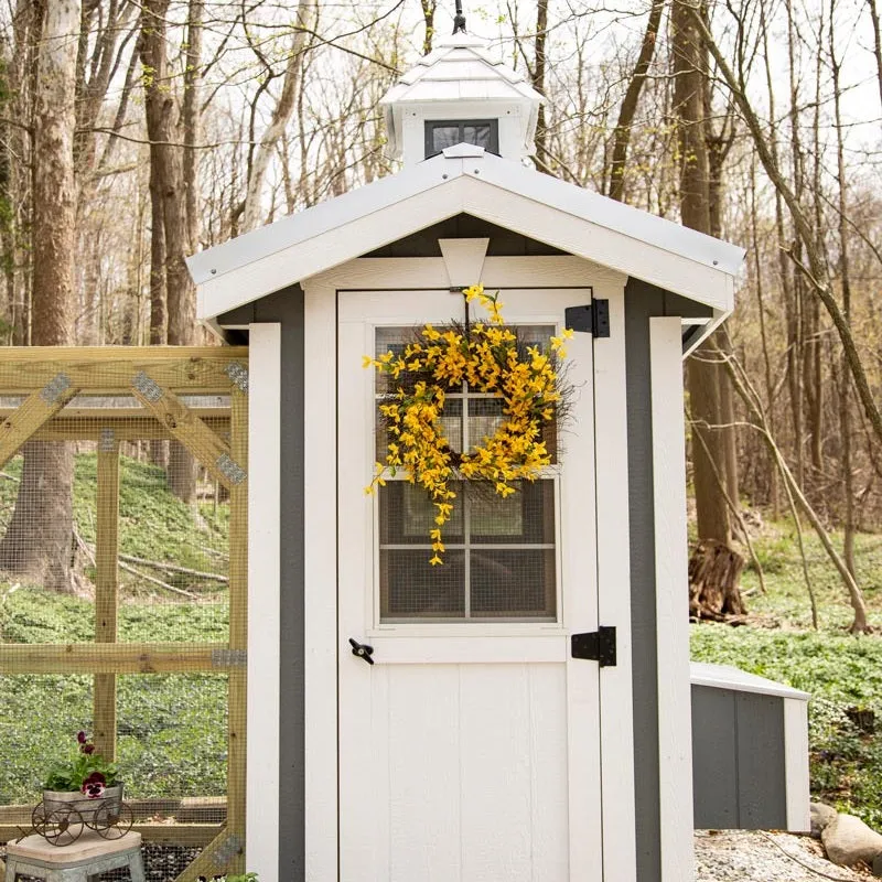 Classic Coop - 4'x6' - In Stock