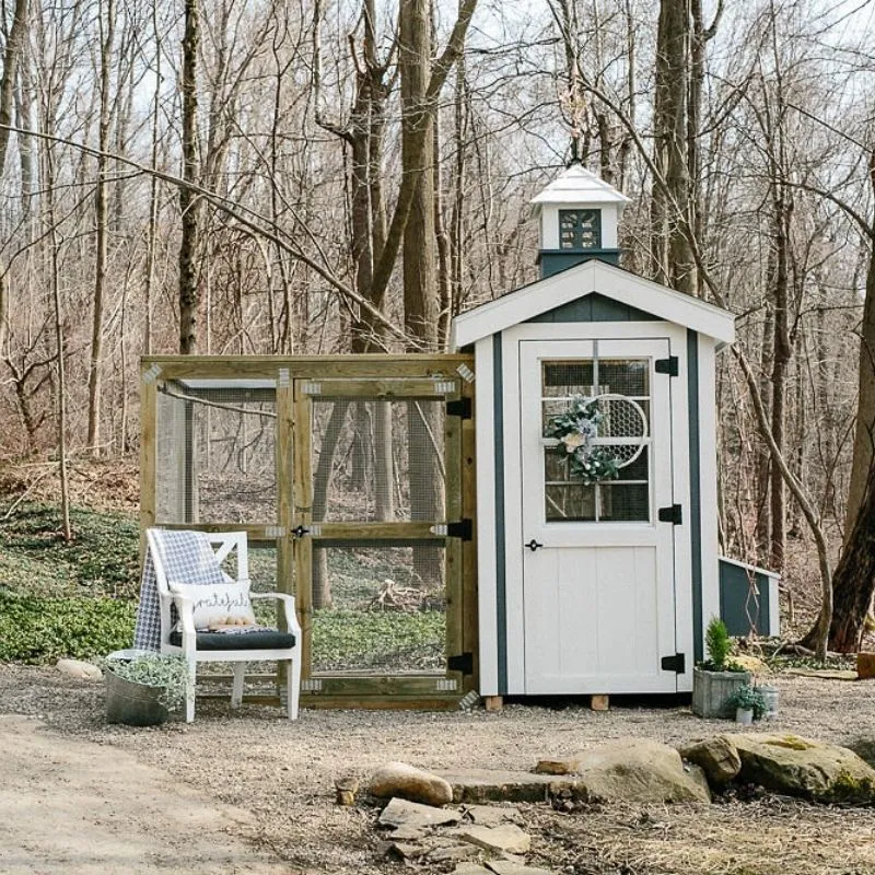 Classic Coop - 4'x6' - In Stock