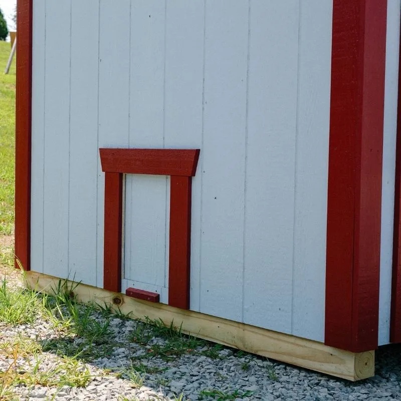Classic Coop - 4'x6' - In Stock