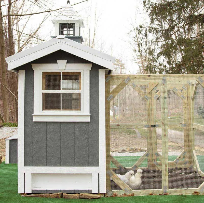 Classic Coop - 4'x6' - In Stock