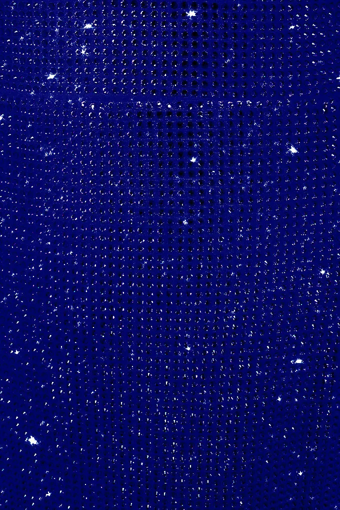 Crystal midi skirt