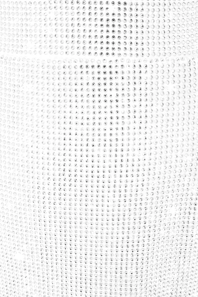 Crystal midi skirt