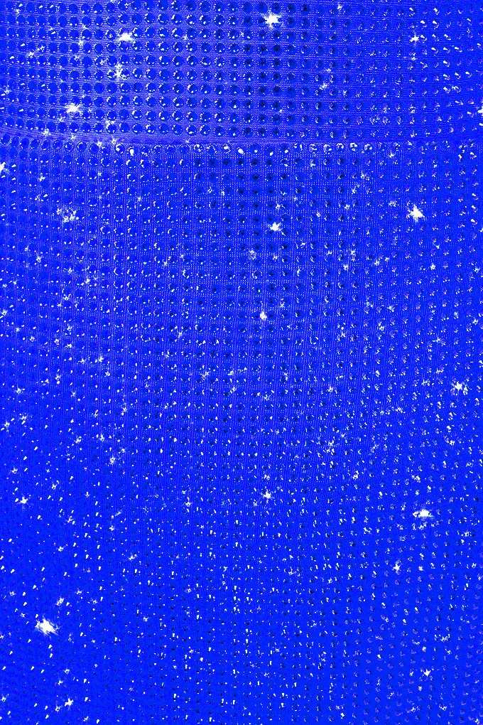 Crystal midi skirt