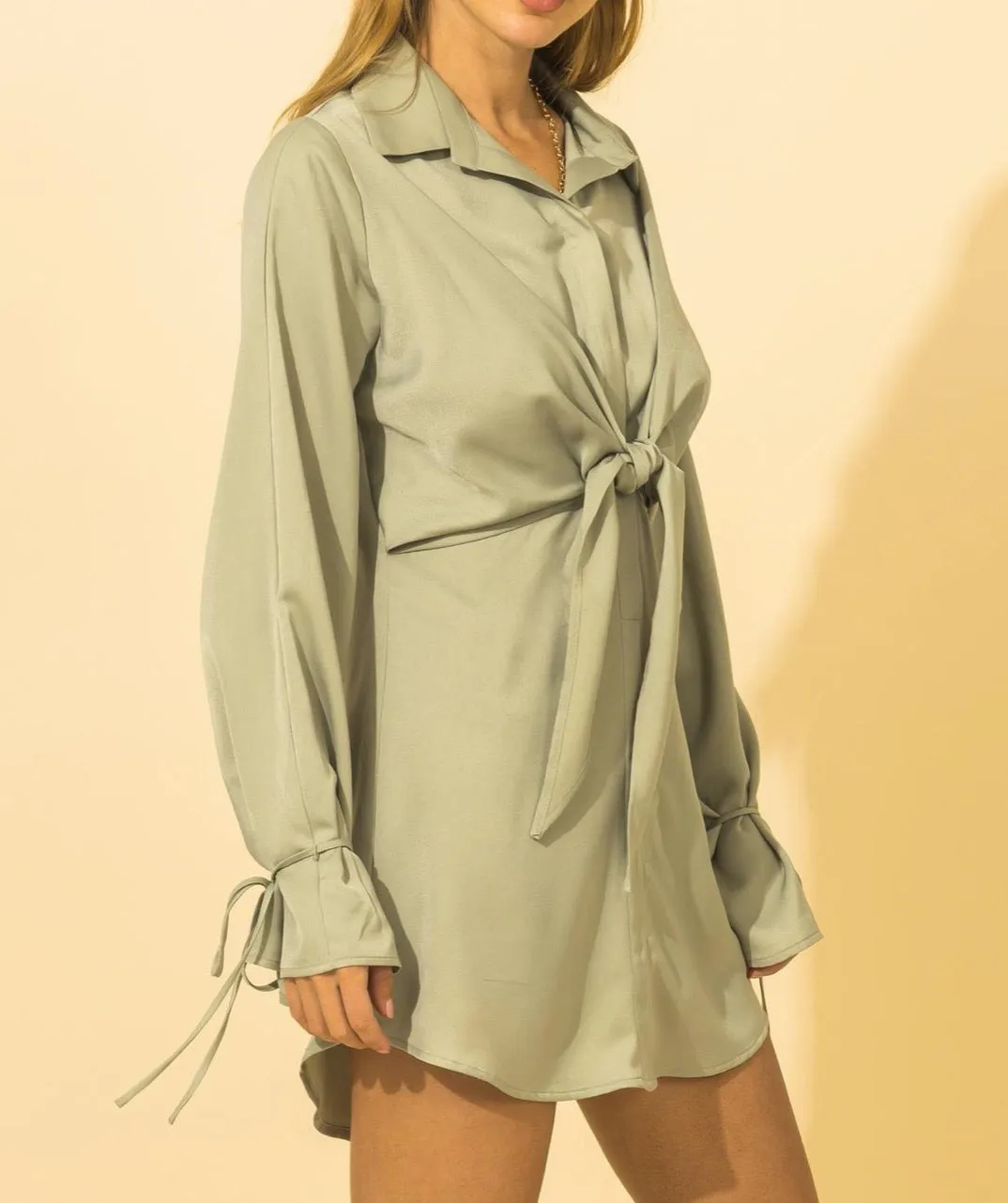 Long Sleeve Button Down Tie Mini Dress