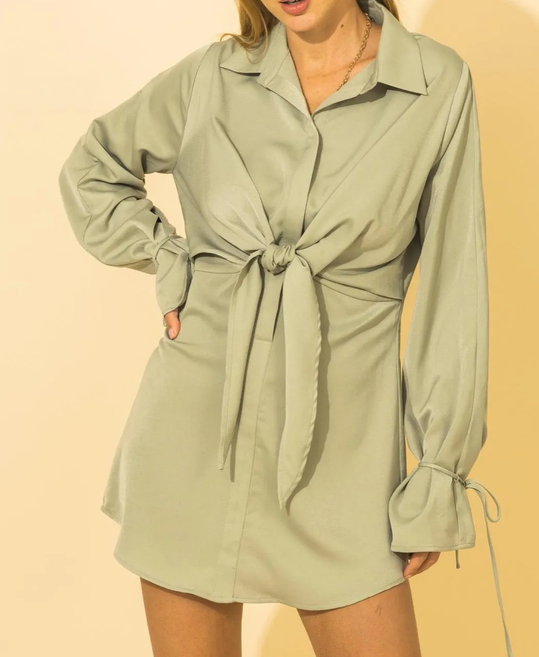 Long Sleeve Button Down Tie Mini Dress