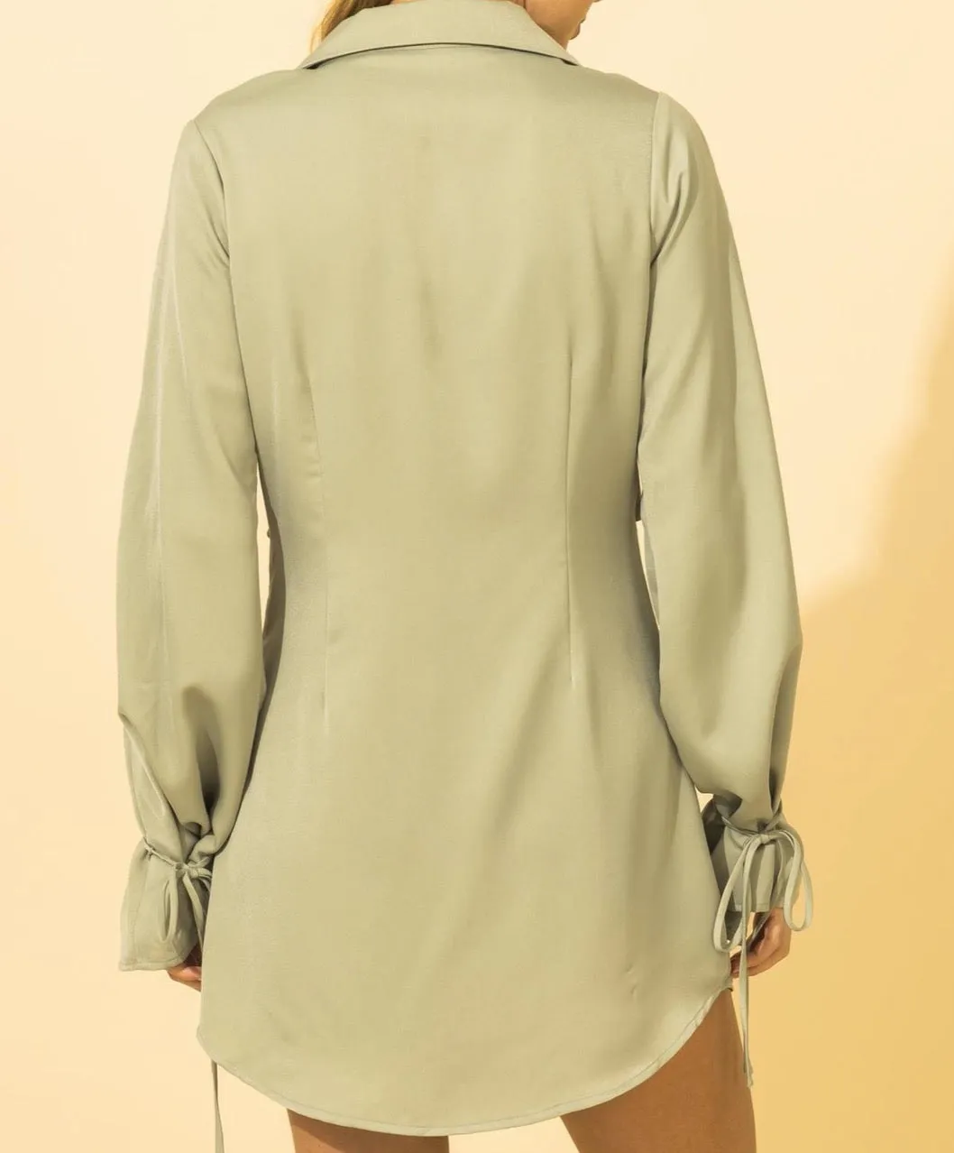 Long Sleeve Button Down Tie Mini Dress