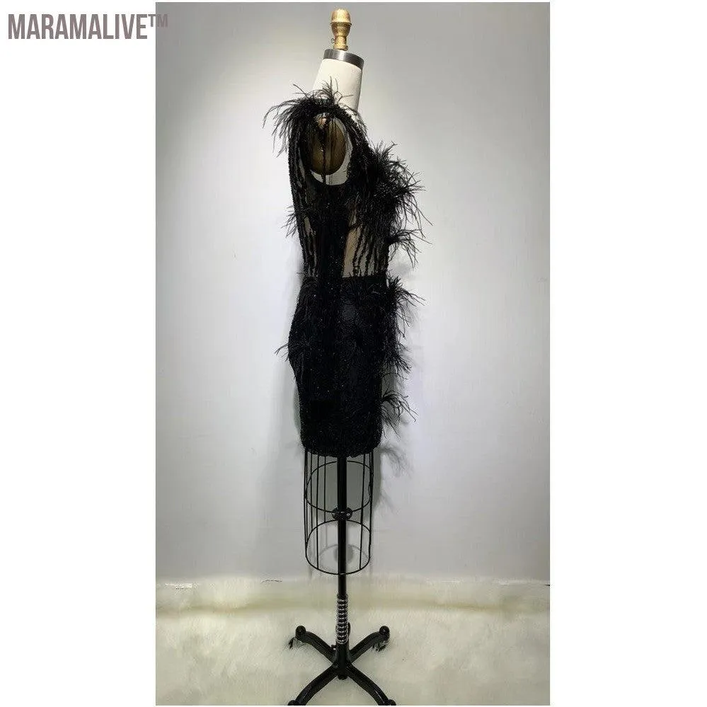 Mesh Long-sleeved Sequin Feather Casual Dress