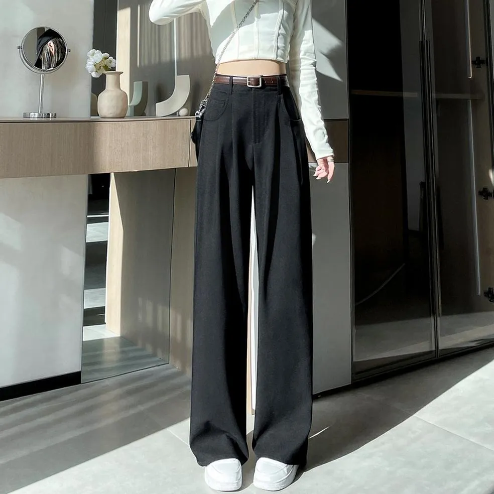 Minimalist Style High Rise Drawstring Waisted Pleated Trousers