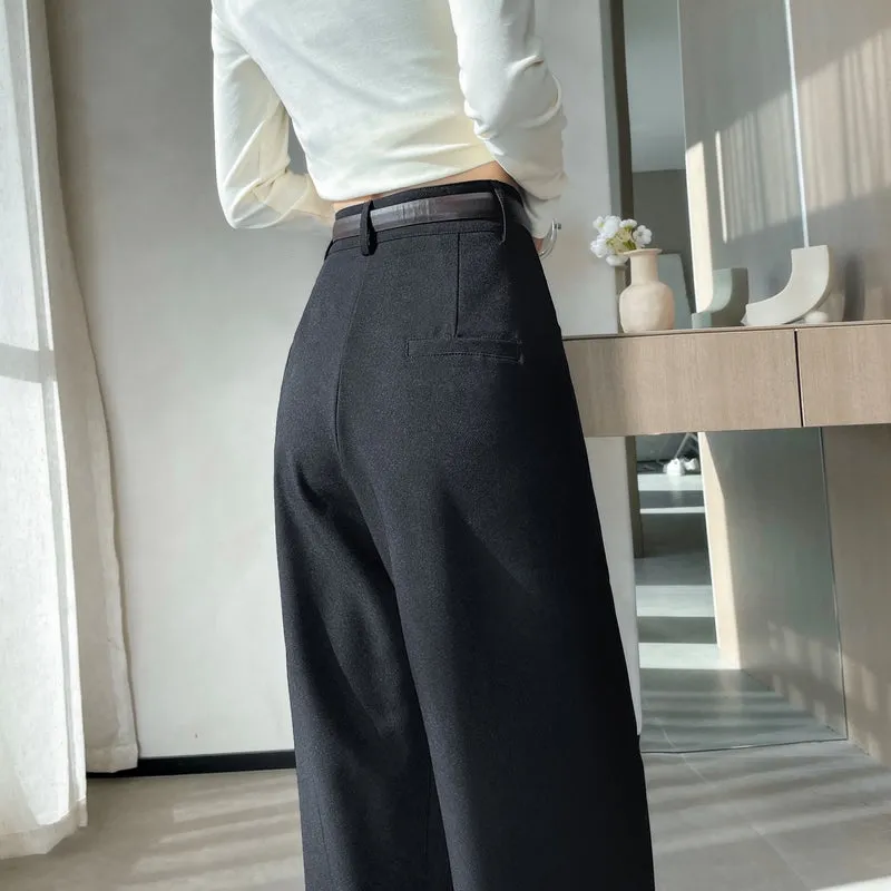 Minimalist Style High Rise Drawstring Waisted Pleated Trousers