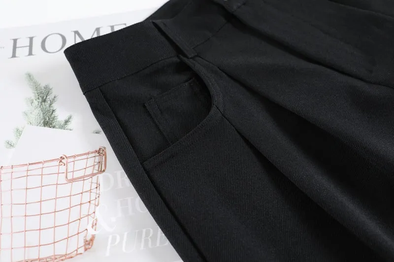 Minimalist Style High Rise Drawstring Waisted Pleated Trousers